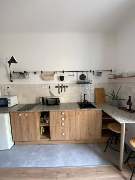 Apartament Charming In The Heart Of Gellert Area. *