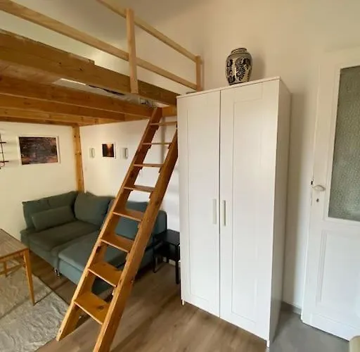 Charming Apartment In The Heart Of Gellert Area.
